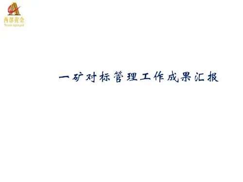 对标管理工作PPT课件