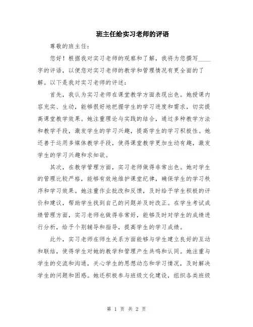 班主任给实习老师的评语