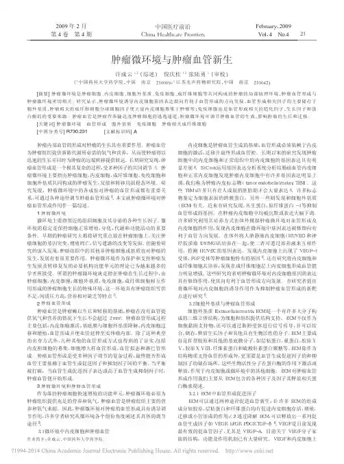 肿瘤微环境与肿瘤血管新生