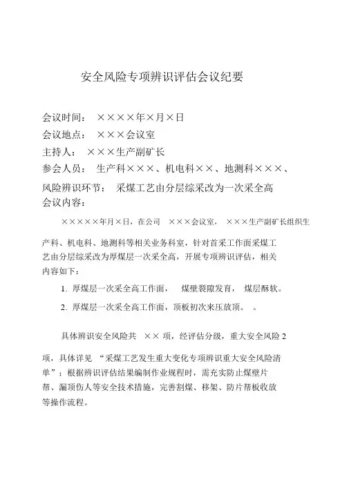 安全风险专项辨识评价会议纪要