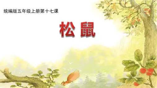 《松鼠》ppt课件