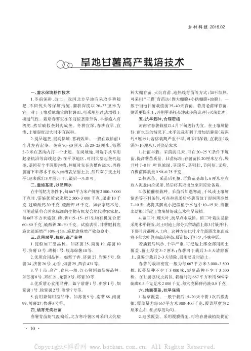 旱地甘薯高产栽培技术