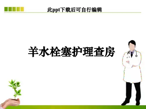 羊水栓塞护理查房ppt