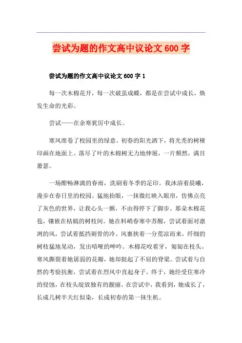 尝试为题的作文高中议论文600字