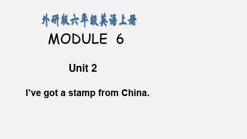 2019-2020秋季学年度外研版三起点六年级上册M6 Unit 2 I’ve got a stamp from China.课件