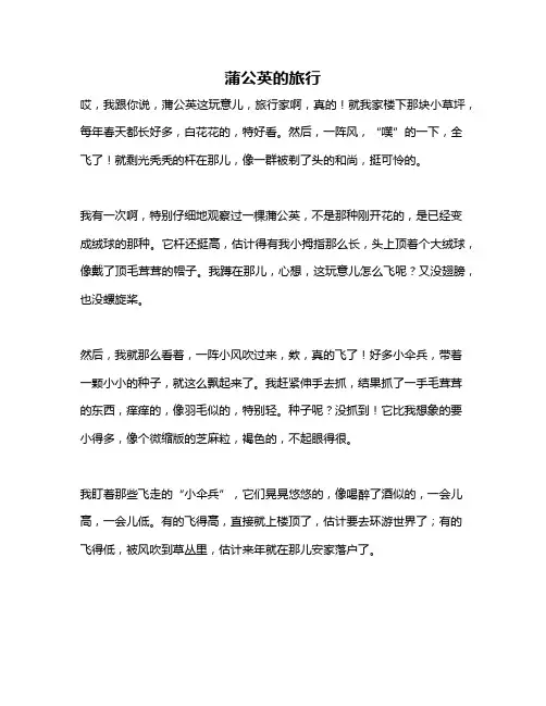 作文《蒲公英的旅行》