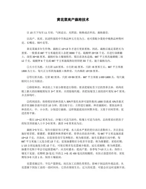 黄花菜高产栽培技术