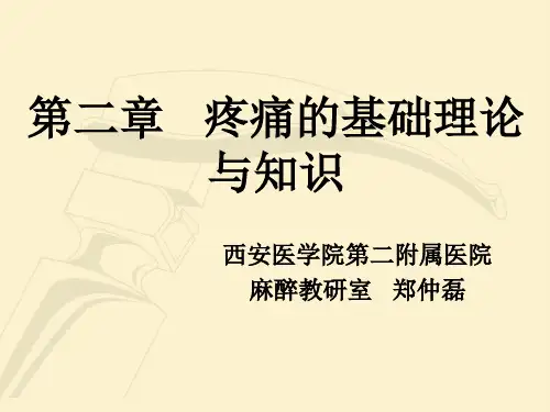 疼痛的基础理论与知识(图片)