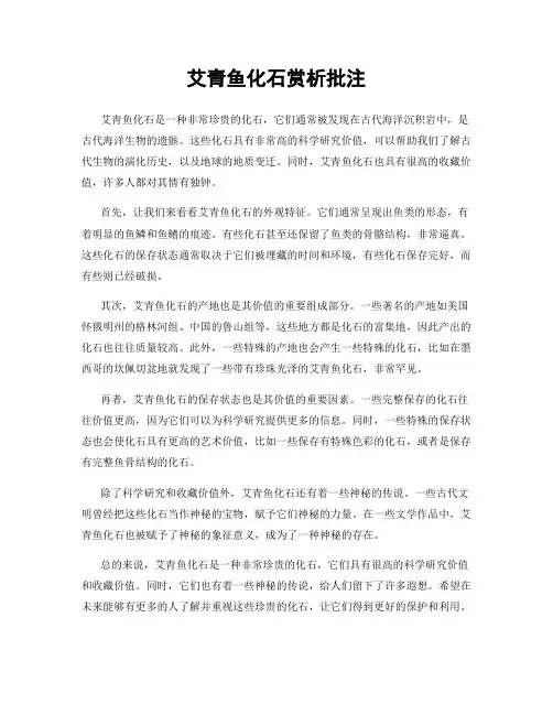 艾青鱼化石赏析批注