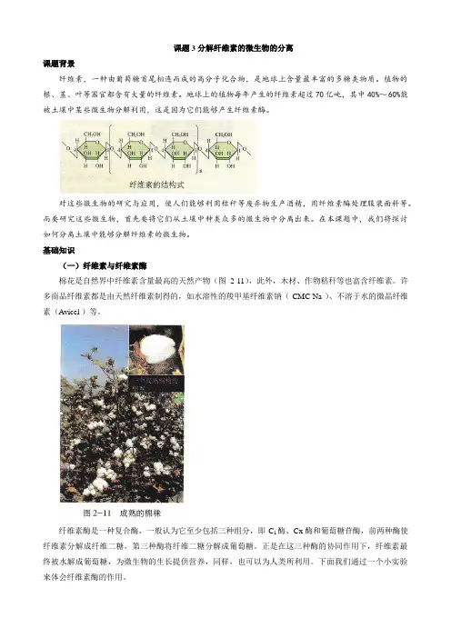 课题3 分解纤维素的微生物的分离