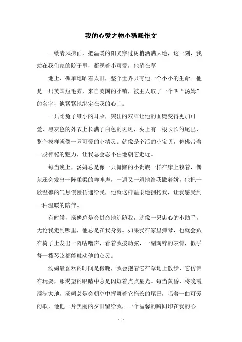 我的心爱之物小猫咪作文