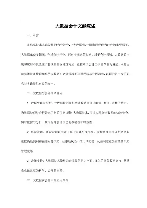 大数据会计文献综述