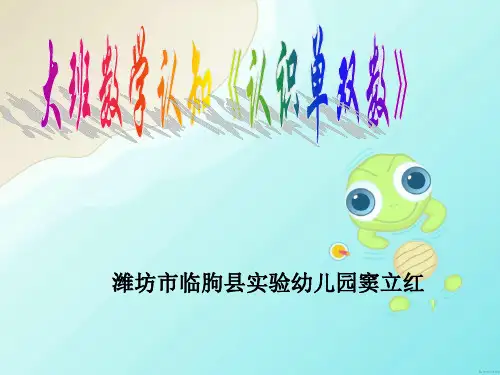 大班数学课件：10以内的单双数