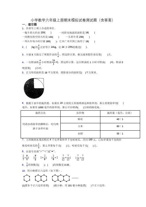 小学数学六年级上册期末模拟试卷测试题(含答案)