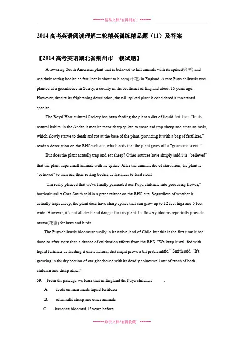 高考英语阅读理解二轮精英训练精品题(11)及答案