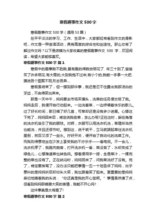 寒假趣事作文500字 3