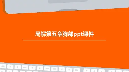 局解第五章胸部PPT课件