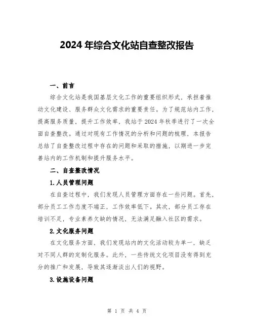 2024年综合文化站自查整改报告
