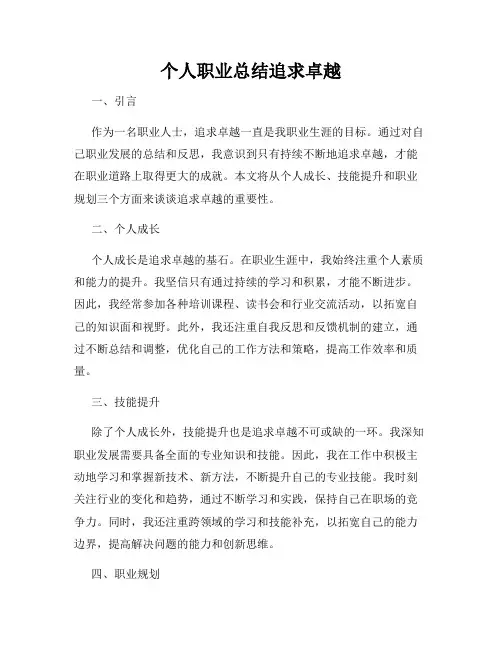 个人职业总结追求卓越