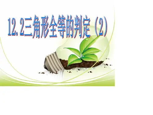 《“边角边”判定三角形全等》PPT课件3