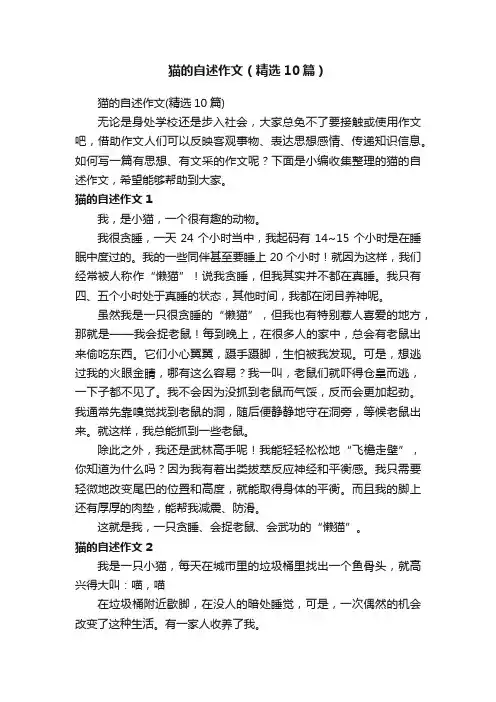 猫的自述作文（精选10篇）