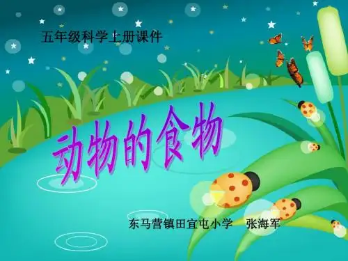 冀教版小学五年级科学课件动物的食物