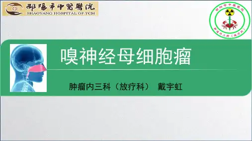 嗅神经母细胞瘤