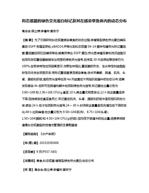 拟态弧菌的绿色荧光蛋白标记及其在感染草鱼体内的动态分布