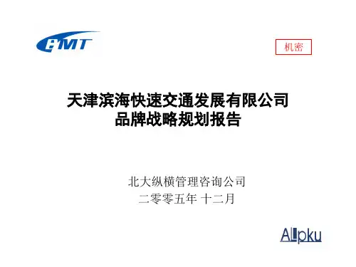品牌战略规划报告(1月10日汇报)