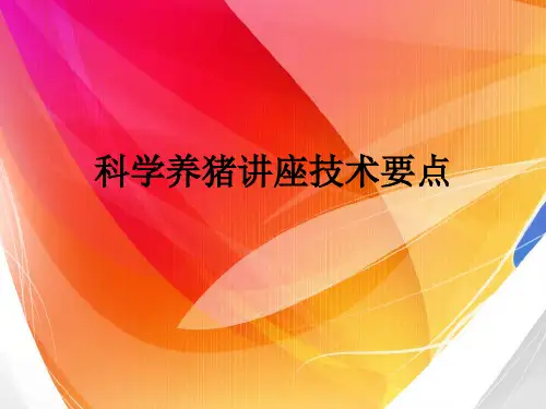 科学养猪讲座技术要点ppt课件