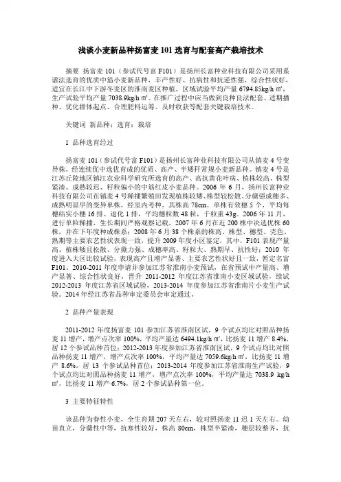浅谈小麦新品种扬富麦101选育与配套高产栽培技术