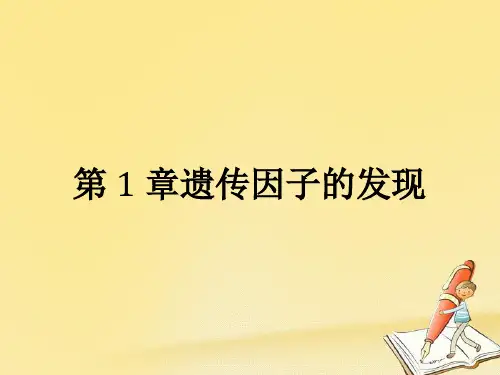 2018-2019学年高中生物人教版必修二(课件)：1.1 孟德尔的豌豆杂交实验(一)
