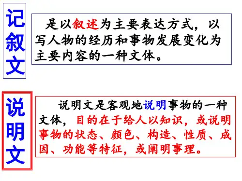 人教部编版八年级语文上册第五单元第17课  《中国石拱桥》 课件 (共83张PPT)