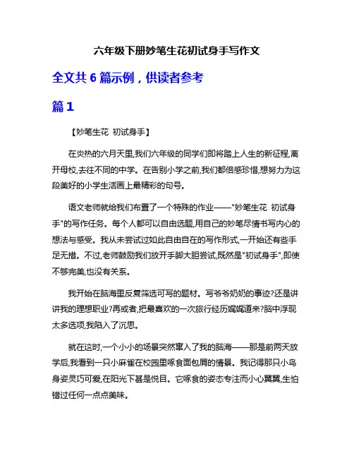 六年级下册妙笔生花初试身手写作文