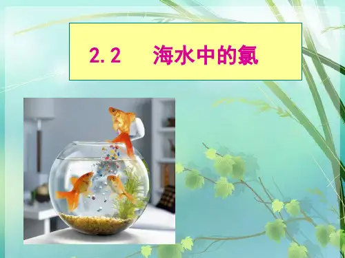 高一化学上册《海水中的氯》沪科版 PPT课件 图文