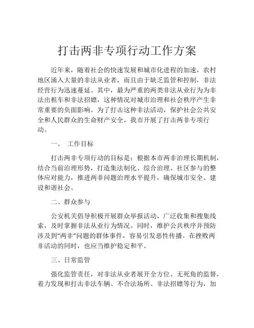 打击两非专项行动工作方案
