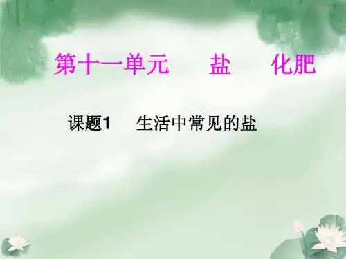 九年级化学第十一单元盐化肥 课题1生活中常见的盐