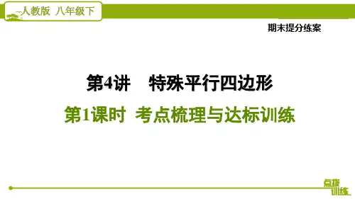 最新人教版八年级下册数学期末复习第4讲 第1课时 特殊平行四边形考点梳理与达标训练