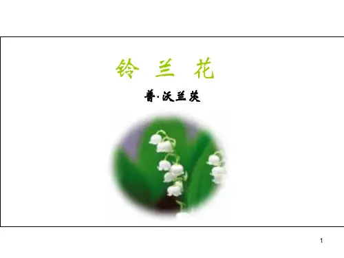 《铃兰花》公开课ppt课件