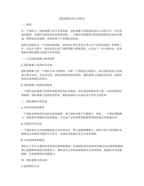 团队凝聚力的心得体会