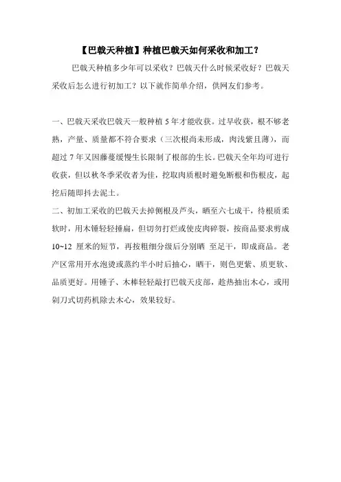 【巴戟天种植】种植巴戟天如何采收和加工？