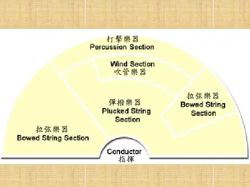 中国乐器ppt.