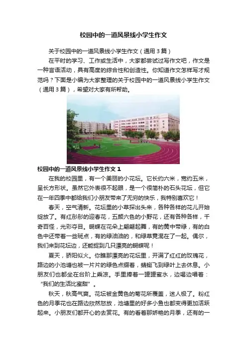 校园中的一道风景线小学生作文
