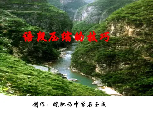 高考复习语段压缩PPT (共13张PPT)