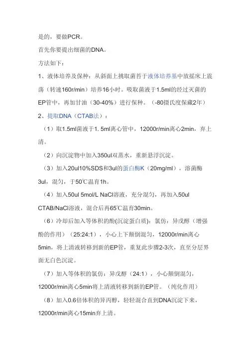 细菌分子生物学鉴定