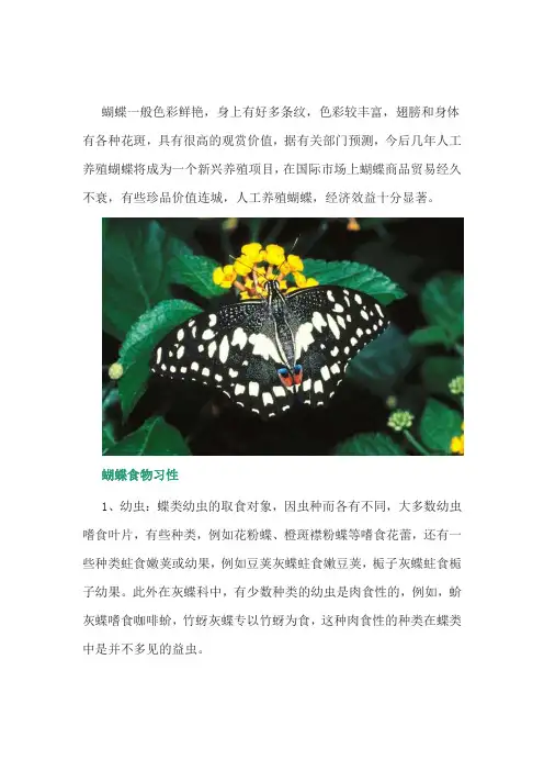特种养殖：蝴蝶养殖技术