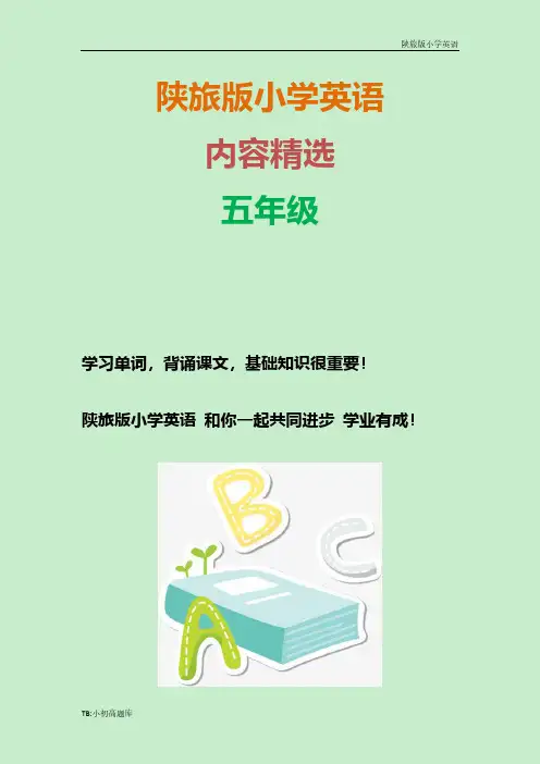 陕旅版小学英语五年级下册Unit6 My Holiday 第4课总结教案