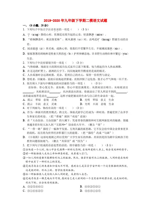 2019-2020年九年级下学期二模语文试题