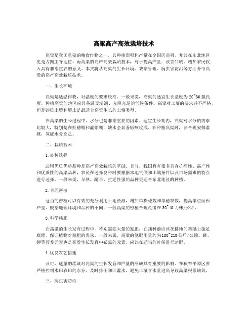 高粱高产高效栽培技术