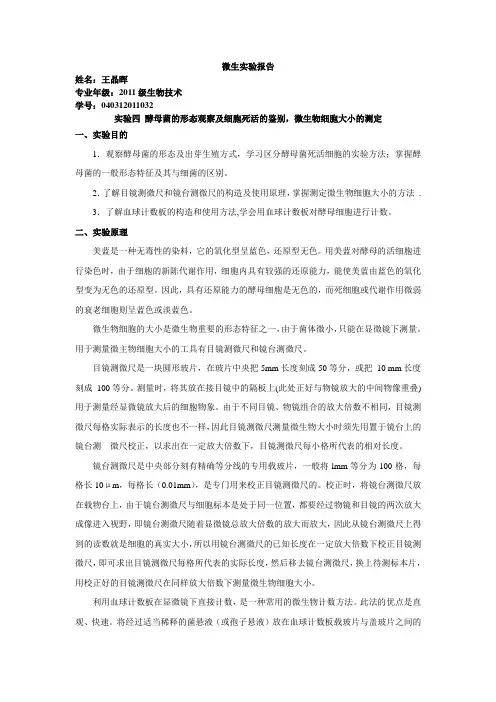 微生实验报告 2012.10.31 实验四  酵母菌的形态观察及细胞死活的鉴别,微生物细胞大小的测定